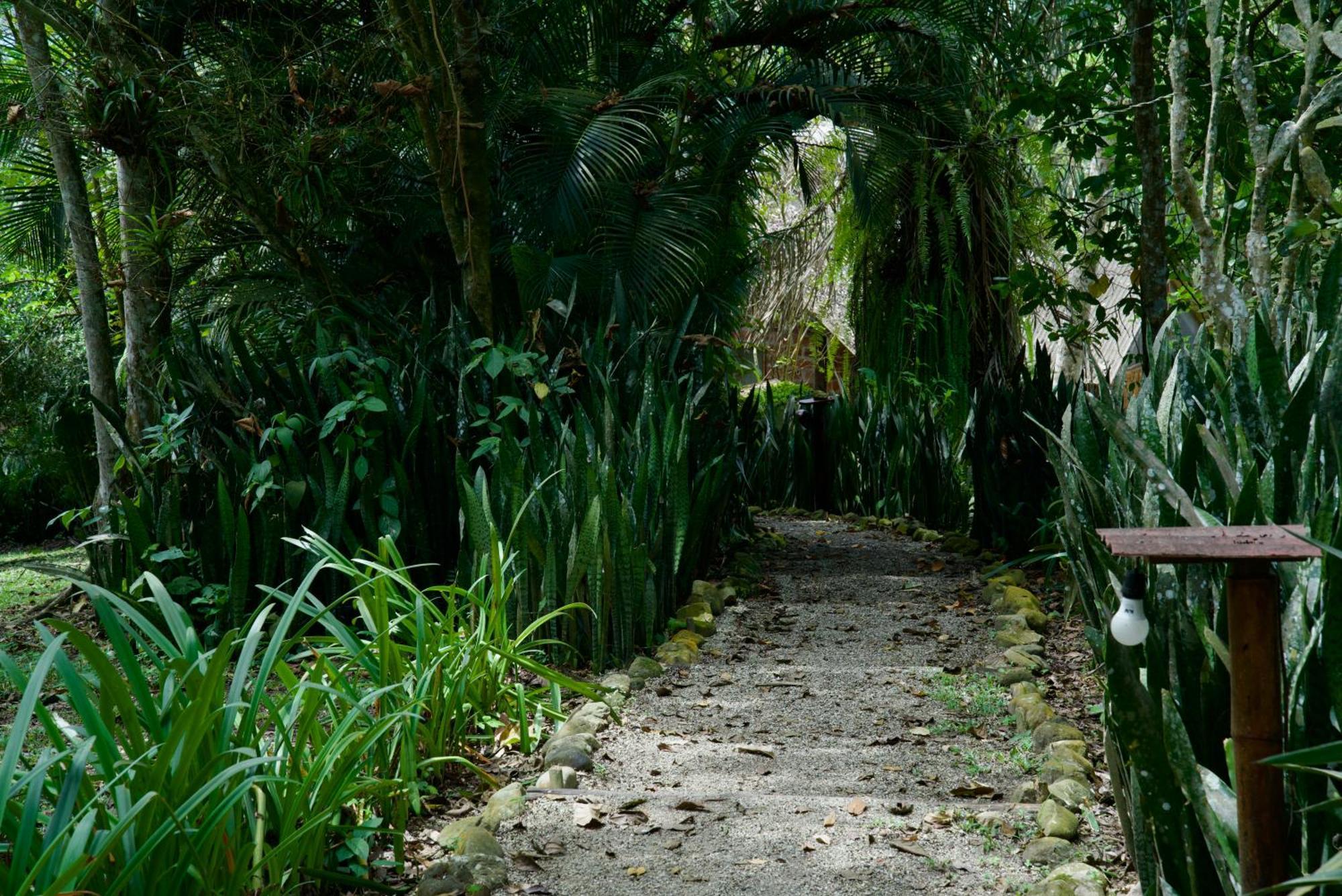 Samai Lodge Holistic Living Olón Εξωτερικό φωτογραφία